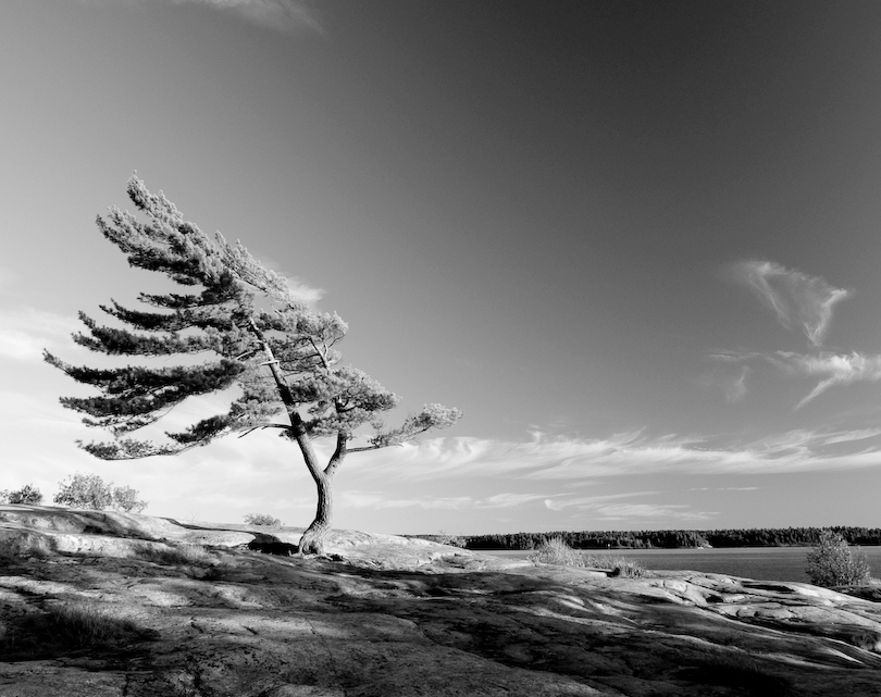 Ветрозащита